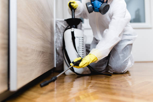 Best Insect Control  in Russellville, AL