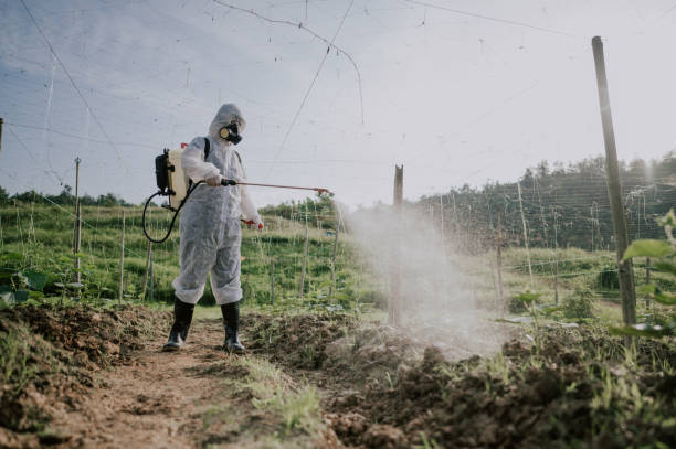 Best Pest Control Treatment  in Russellville, AL