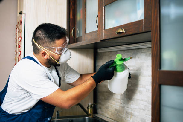 Best Pest Inspection Near Me  in Russellville, AL