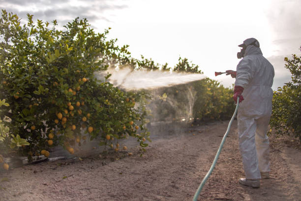 Best Cockroach Control Services  in Russellville, AL