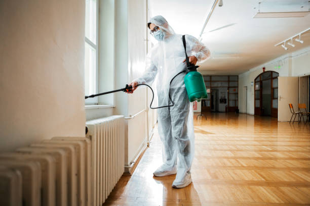 Best Flea Control Services  in Russellville, AL