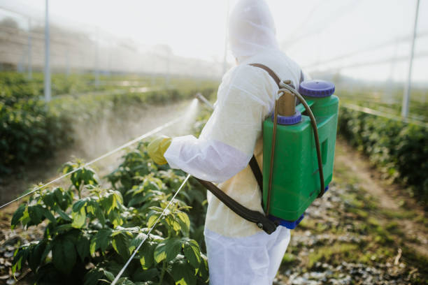 Best Exterminator Services  in Russellville, AL